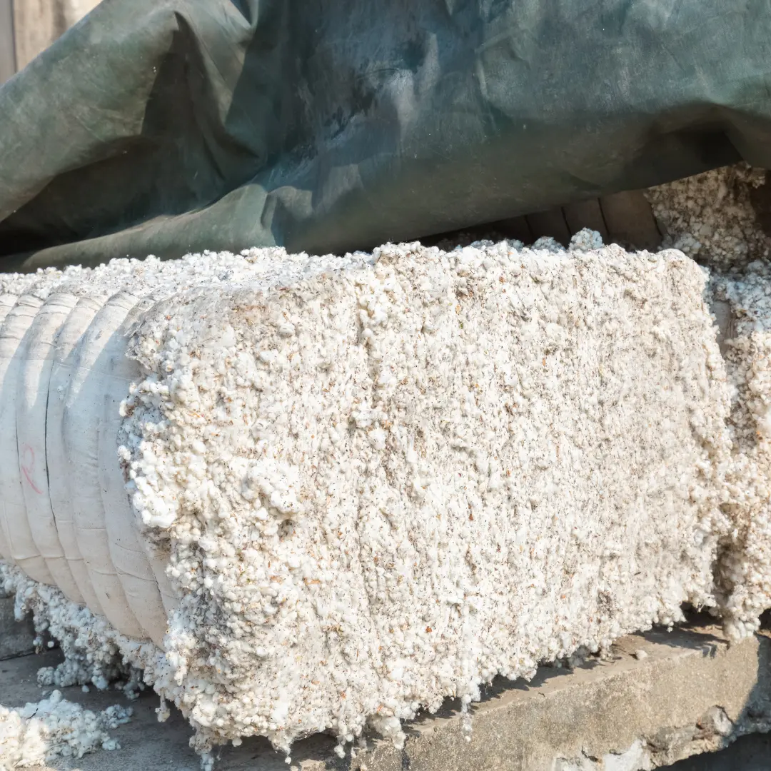 Cotton Bale